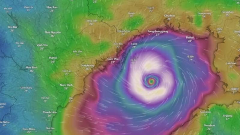 Hình ảnh xe khách hiện đại đang di chuyển trên cao tốc, minh họa cho phương tiện phổ biến từ Hà Nội đi Quảng Ninh.